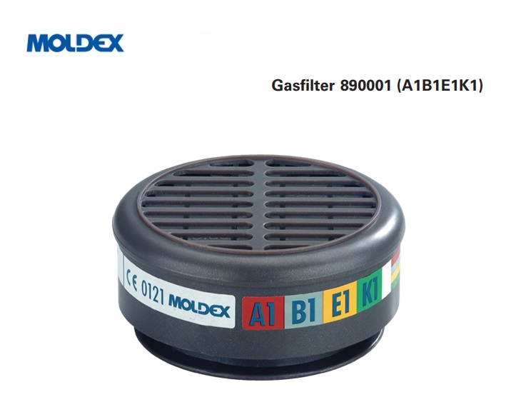 Gasfilter 890001 A1B1E1K1: