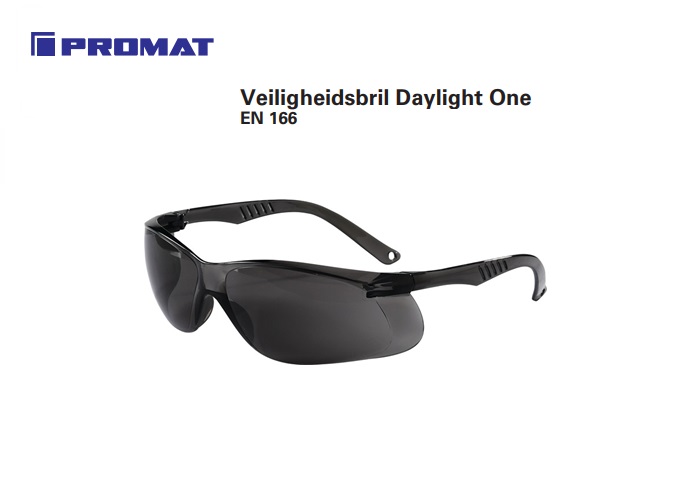 Veiligheidsbril Daylight One donker EN 166