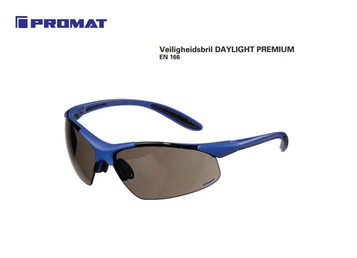 Veiligheidsbril Daylight Premium donker EN 166