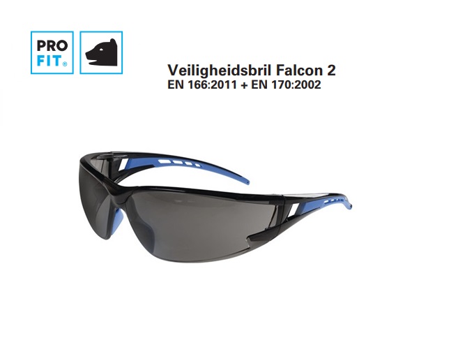 Veiligheidsbril Falcon 2 helder | DKMTools - DKM Tools