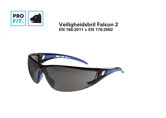 Veiligheidsbril Falcon 2 getint