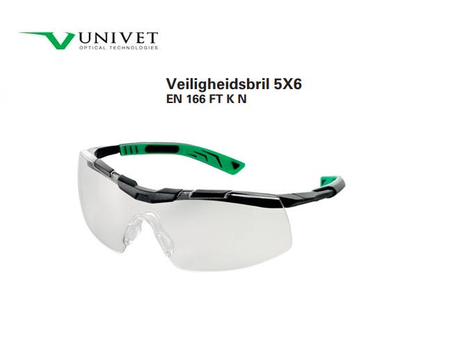 Veiligheidsbril 5X6 EN 166 helder