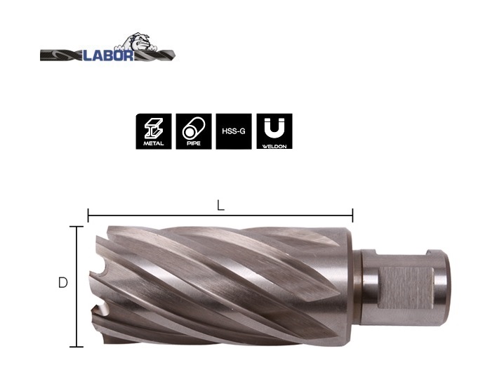 Kernboor HSS-G M2 tbv magneetboormachine Weldon 12.0x30mm