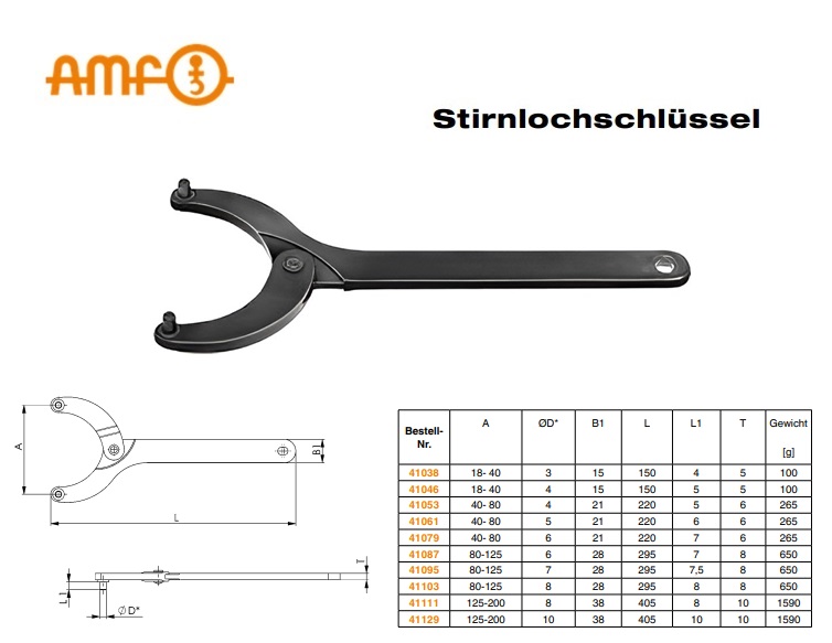 Scharnierende pengatsleutel met houder 764Md 6mm 80-125mm | DKMTools - DKM Tools