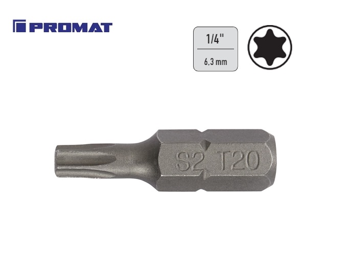 Torx bit 1/4