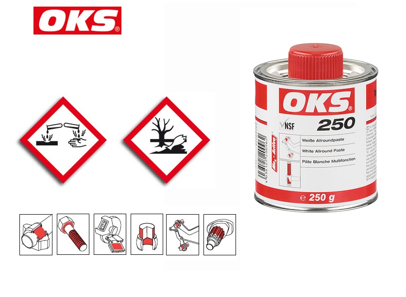 OKS 250 food-grade pasta NSF H2 25 KG | DKMTools - DKM Tools