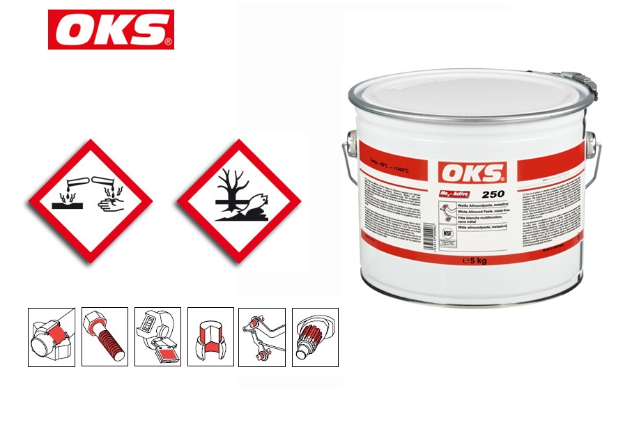 OKS 250 food-grade pasta NSF H2 1 KG | DKMTools - DKM Tools