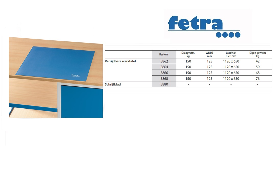 Schrijfblad 5880 485 x 485 mm blauw Fetra