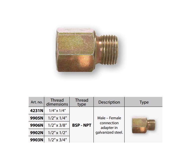 Adapter 1/4” x 1/4” BSP-NPT