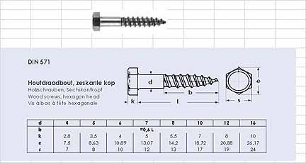 Houtdraadbout DIN 571 RVS A2 6 X 25