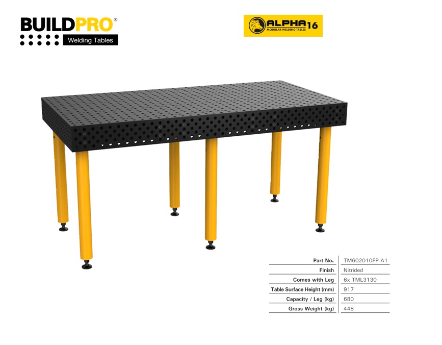 Alpha 16 Lastafel 2000 x 1000mm Standard