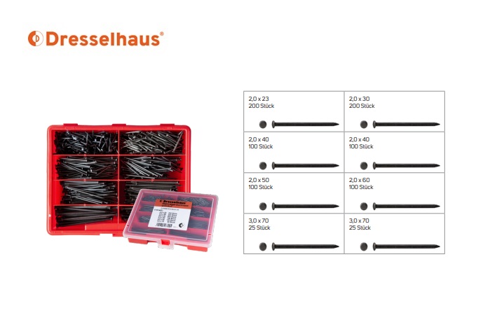 Assortimentsdoos stalen spijkers (8-vaks / 850 stuks, gesorteerd)