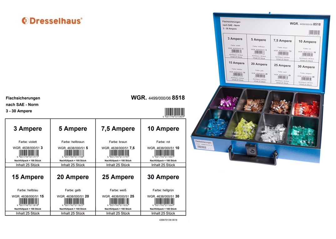 Assortimentskoffer vlaksteek- smelt en glaszekeringen (18 vaks / 250 stuks, sorted) | DKMTools - DKM Tools