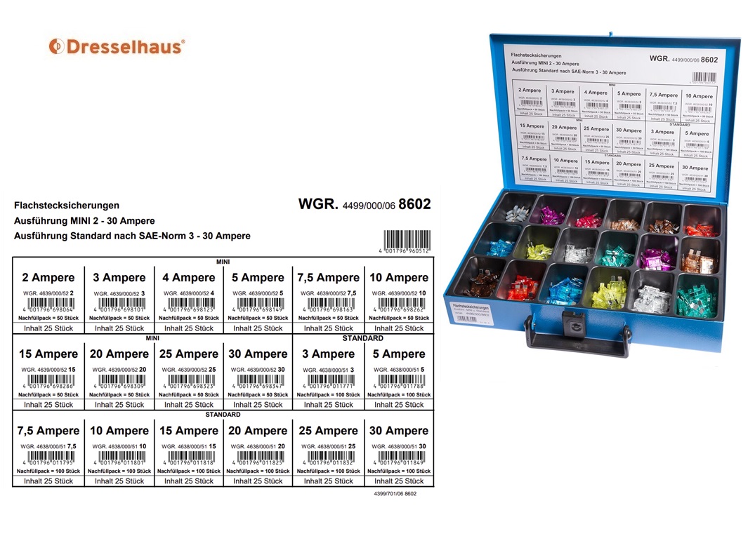 Assortimentskoffer vlaksteek- smelt en glaszekeringen (18 vaks / 250 stuks, sorted) | DKMTools - DKM Tools