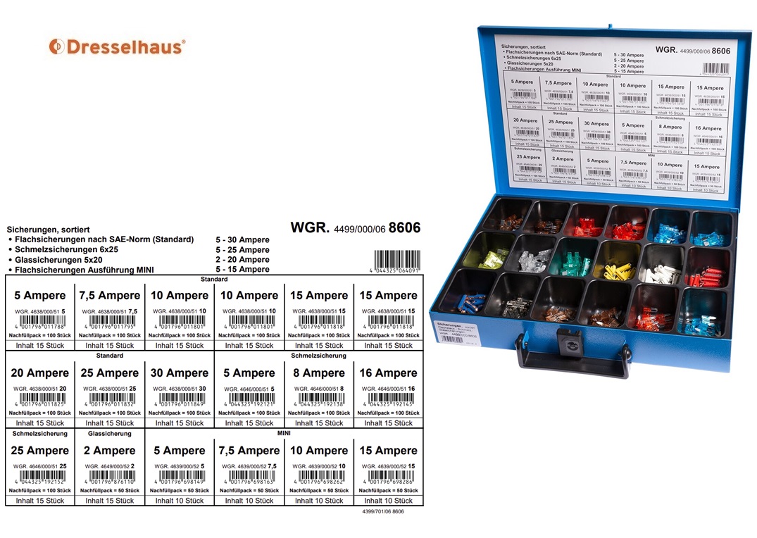 Assortimentskoffer vlaksteek- smelt en glaszekeringen (18 vaks / 250 stuks, sorted)