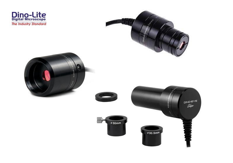 DinoEye Eyepiece cameras | dkmtools