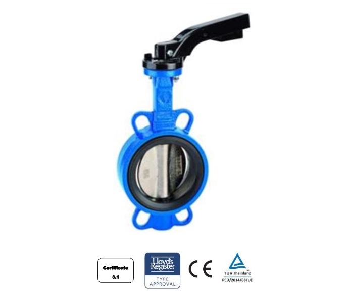 Vlinderklep Wafer CF8M Tandwielkast | dkmtools