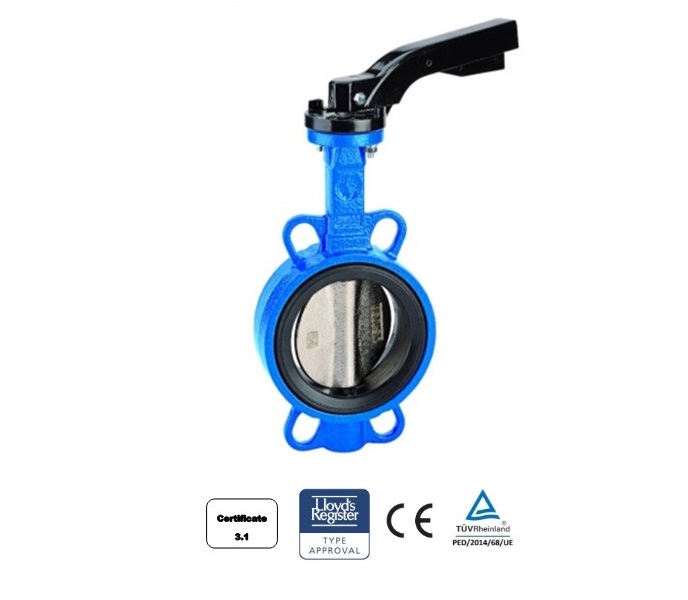 Vlinderklep Wafer CF8M Tandwielkast | dkmtools