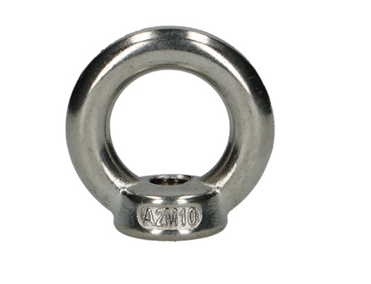 Oogmoer DIN 582 RVS A2 | dkmtools
