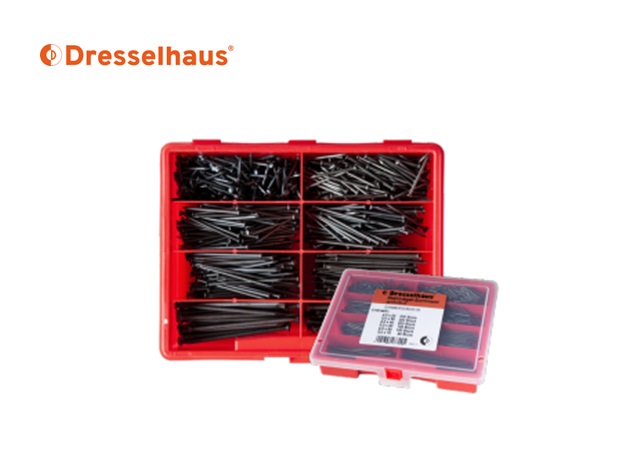 Assortimentsdoos stalen spijkers | dkmtools